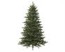 ALBERO DI NATALE 210 CM QUEENSLAND FIR