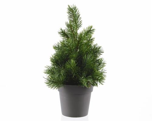 ALBERO CON VASO 20CM IN PLASTICA