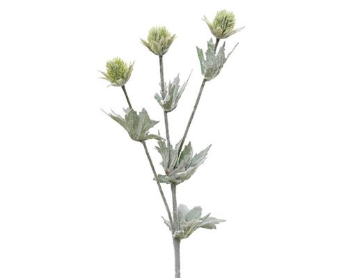 RAMO ERYNGIUM  VERDE CON FOGLIE  SATINATE H.67 CM