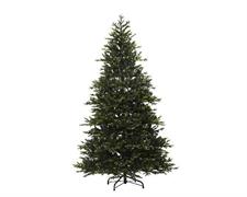 ALBERO DI NATALE 300 CM QUEENSLAND FIR