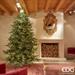 ALBERO DI NATALE 270 CM PINO LUXURY EDG CON 6000 LED