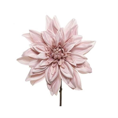 DALIA 67CM ROSA