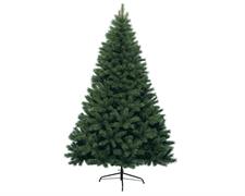 ALBERO DI NATALE 300 CM CANADA SPRUCE