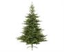 ALBERO DI NATALE 270 CM GRANDIS FIR