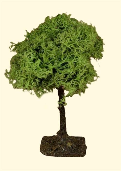 ALBERO LICHENE h.7 CM