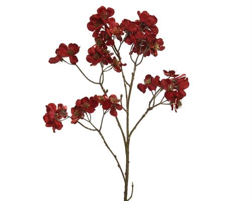 RAMO DI CORNIOLO ROSSO H.78 CM