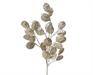 RAMO SILVER DOLLAR EFFETTO SPRAY CHAMPAGNE H.67 CM