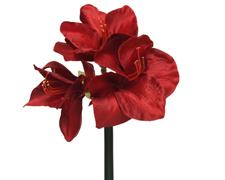 FIORE AMARYLLIS ROSSO H.60X24 CM