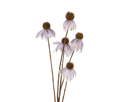 FIORE ECHINACEA LILLA SU STELO H.92X9X3 CM