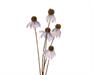 FIORE ECHINACEA LILLA SU STELO H.92X9X3 CM