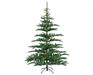 ALBERO DI NATALE 300 CM NOBILIS FIR